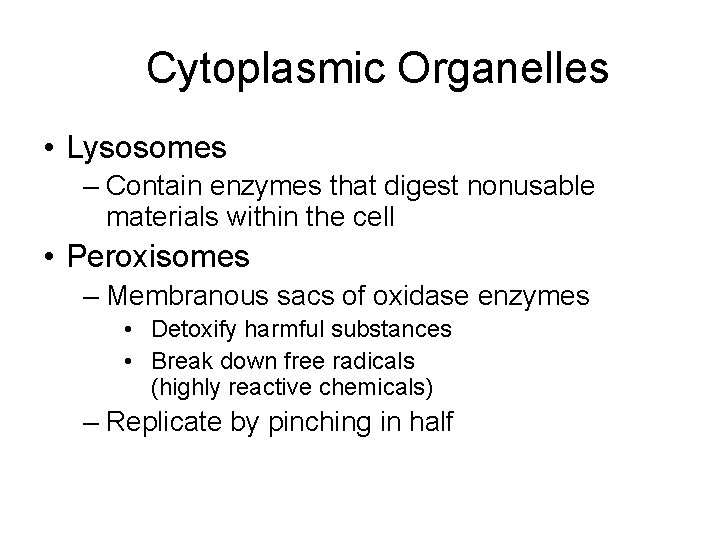 Cytoplasmic Organelles • Lysosomes – Contain enzymes that digest nonusable materials within the cell