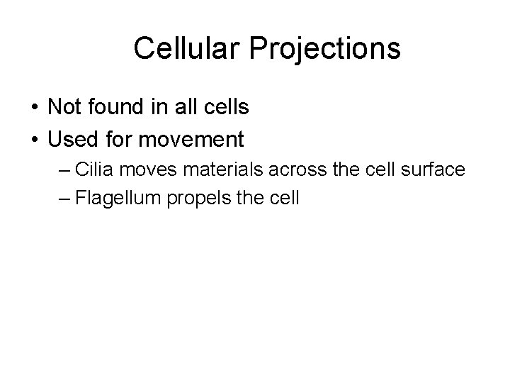 Cellular Projections • Not found in all cells • Used for movement – Cilia