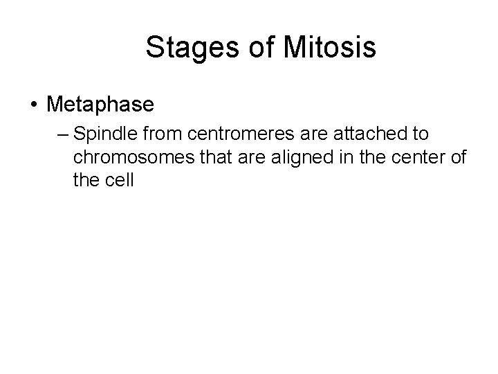 Stages of Mitosis • Metaphase – Spindle from centromeres are attached to chromosomes that