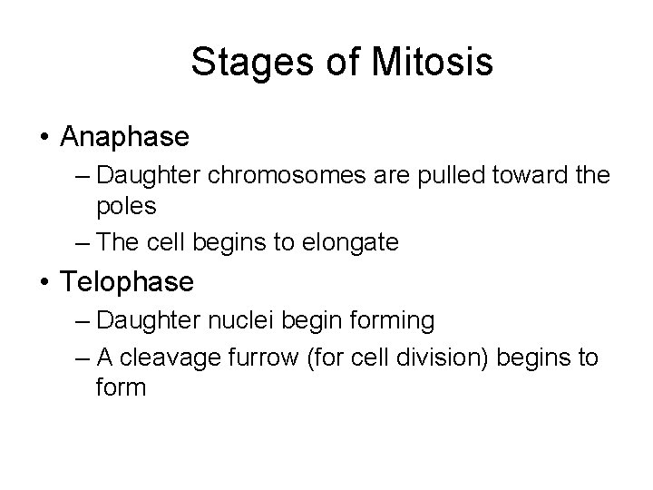 Stages of Mitosis • Anaphase – Daughter chromosomes are pulled toward the poles –