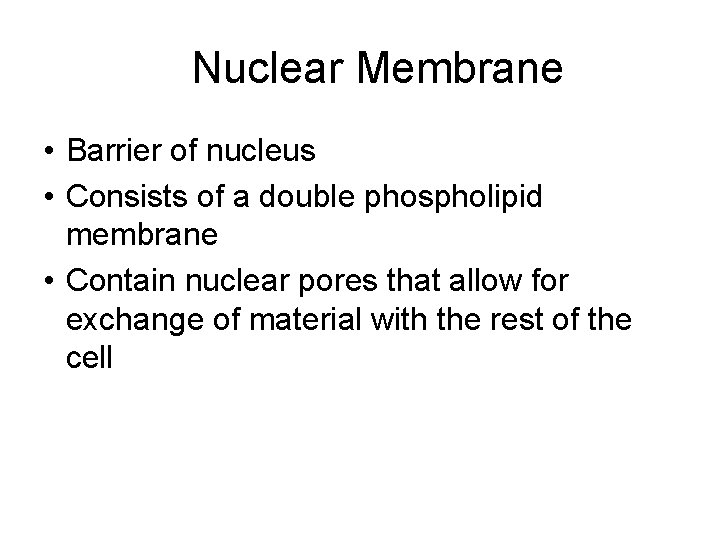 Nuclear Membrane • Barrier of nucleus • Consists of a double phospholipid membrane •