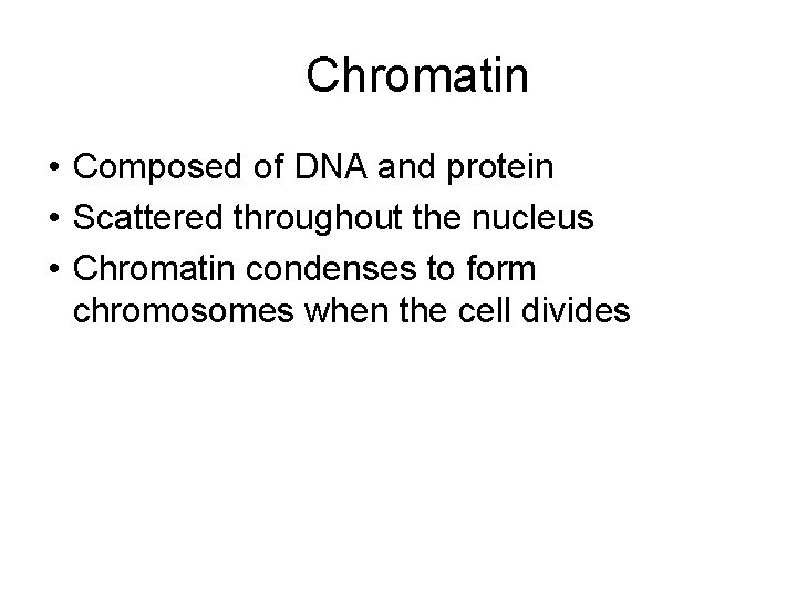 Chromatin • Composed of DNA and protein • Scattered throughout the nucleus • Chromatin