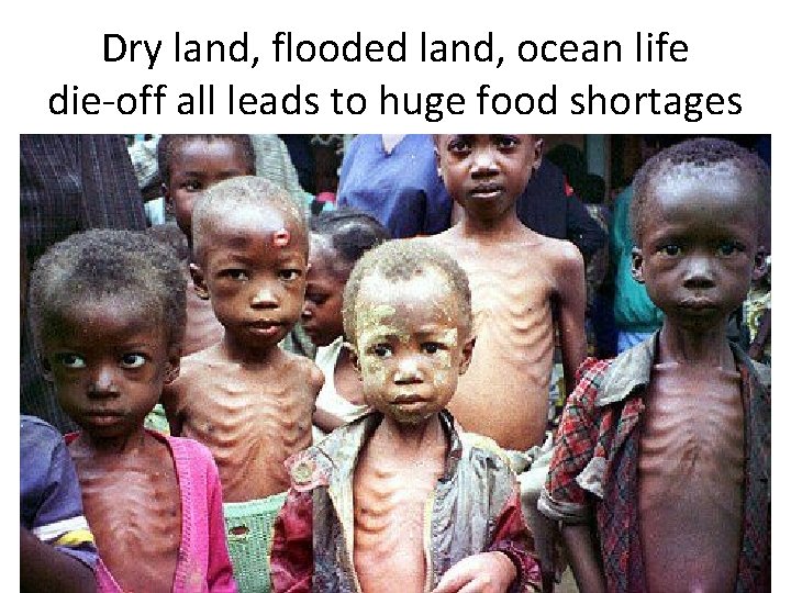 Dry land, flooded land, ocean life die-off all leads to huge food shortages 