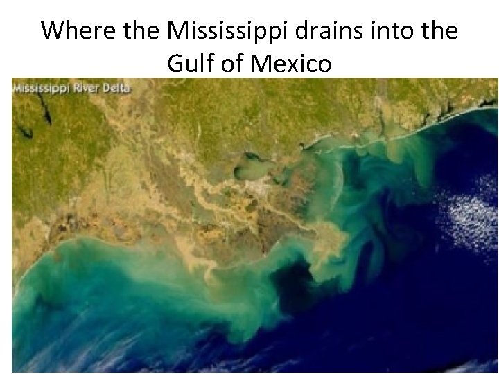 Where the Mississippi drains into the Gulf of Mexico 