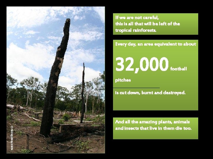 If we are not careful, this is all that will be left of the