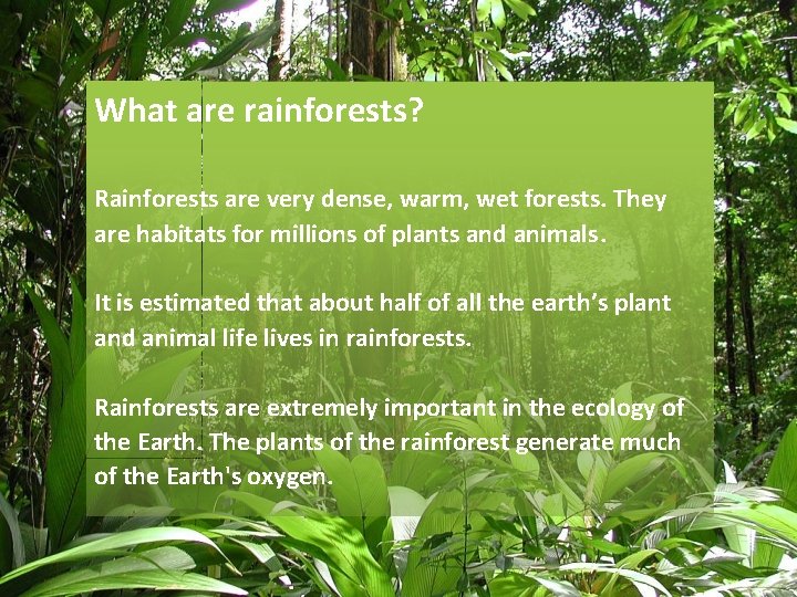 What are rainforests? Rainforests are very dense, warm, wet forests. They are habitats for