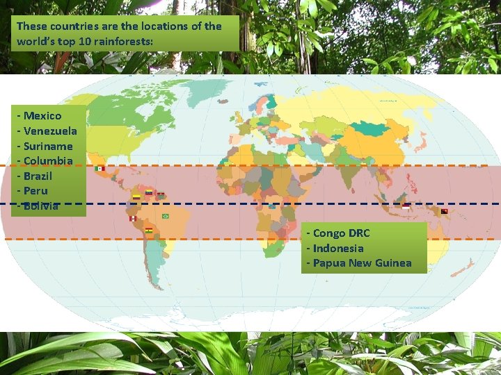 These countries are the locations of the world’s top 10 rainforests: - Mexico -