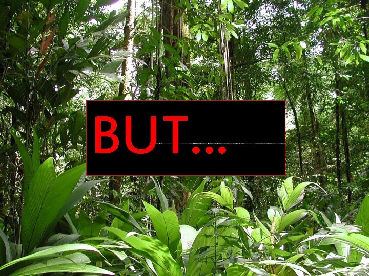 BUT. . . 
