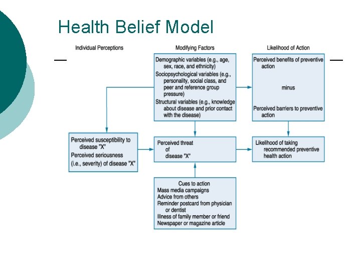Health Belief Model 