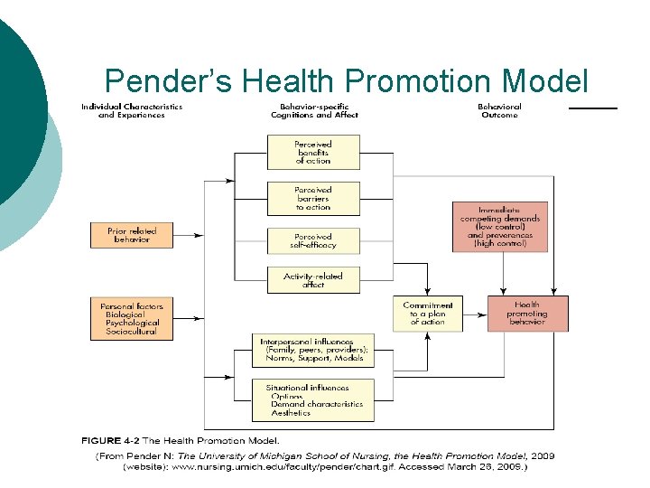 Pender’s Health Promotion Model 