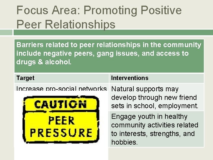 Focus Area: Promoting Positive Peer Relationships Barriers related to peer relationships in the community