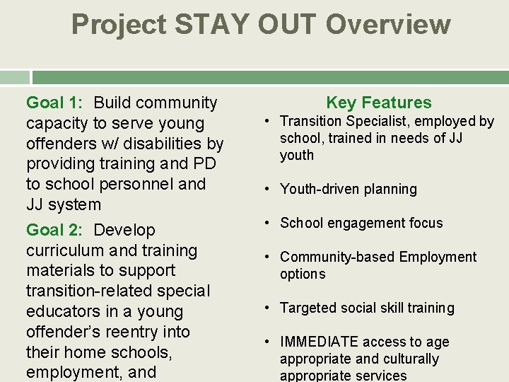 Project STAY OUT Overview Goal 1: Build community capacity to serve young offenders w/