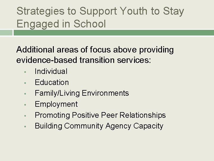 Strategies to Support Youth to Stay Engaged in School Additional areas of focus above Strategies to Support Youth to Stay Engaged in School Additional areas of focus above