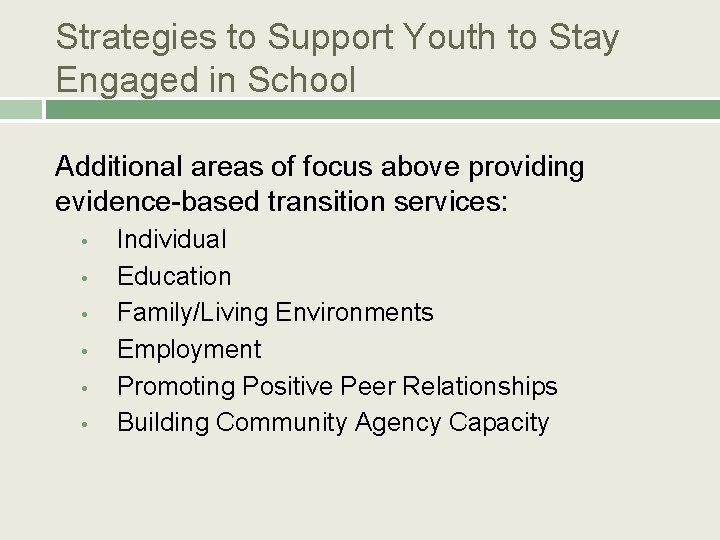 Strategies to Support Youth to Stay Engaged in School Additional areas of focus above