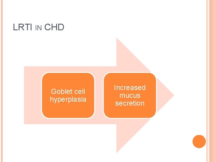 LRTI IN CHD Goblet cell hyperplasia Increased mucus secretion 