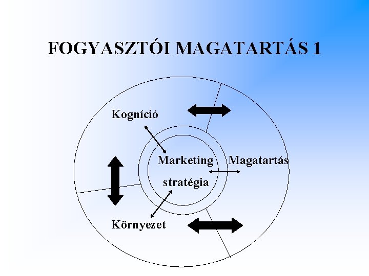 FOGYASZTÓI MAGATARTÁS 1 Kogníció Marketing stratégia Környezet Magatartás 