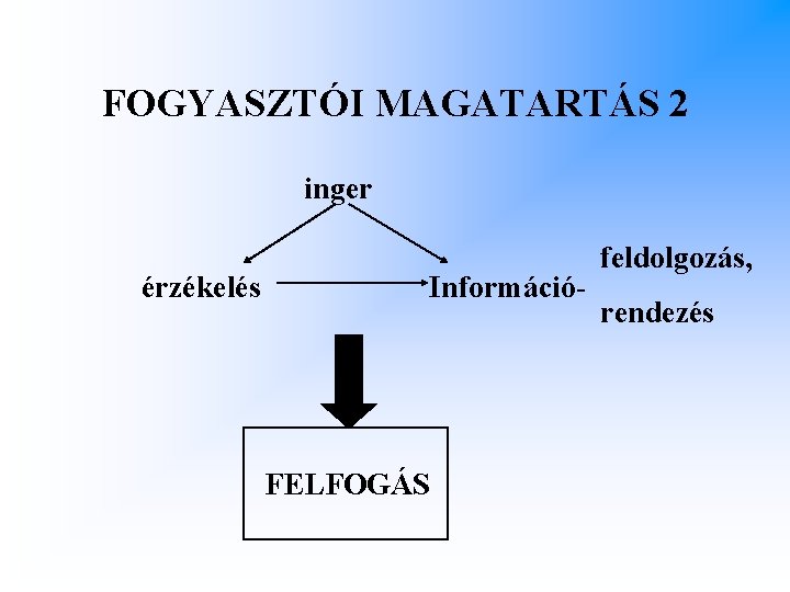 FOGYASZTÓI MAGATARTÁS 2 inger érzékelés Információ- FELFOGÁS feldolgozás, rendezés 