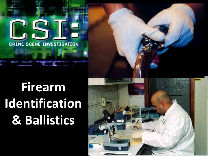 Firearm Identification & Ballistics 