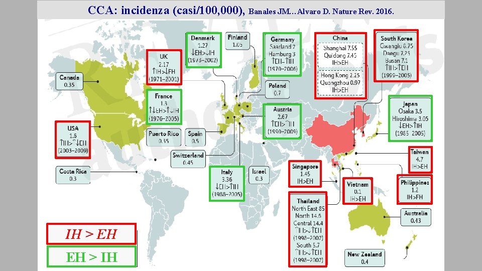 CCA: incidenza (casi/100, 000), Banales JM…Alvaro D. Nature Rev. 2016. 2014 IH > EH CCA: incidenza (casi/100, 000), Banales JM…Alvaro D. Nature Rev. 2016. 2014 IH > EH