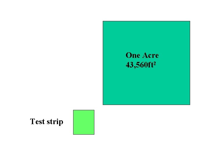 One Acre 43, 560 ft 2 Test strip 