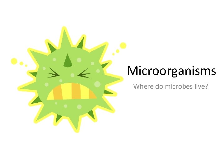 Microorganisms Where do microbes live? 