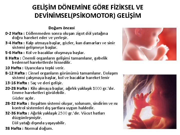 GELİŞİM DÖNEMİNE GÖRE FİZİKSEL VE DEVİNİMSEL(PSİKOMOTOR) GELİŞİM Doğum öncesi 0 -2 Hafta : Döllenmeden