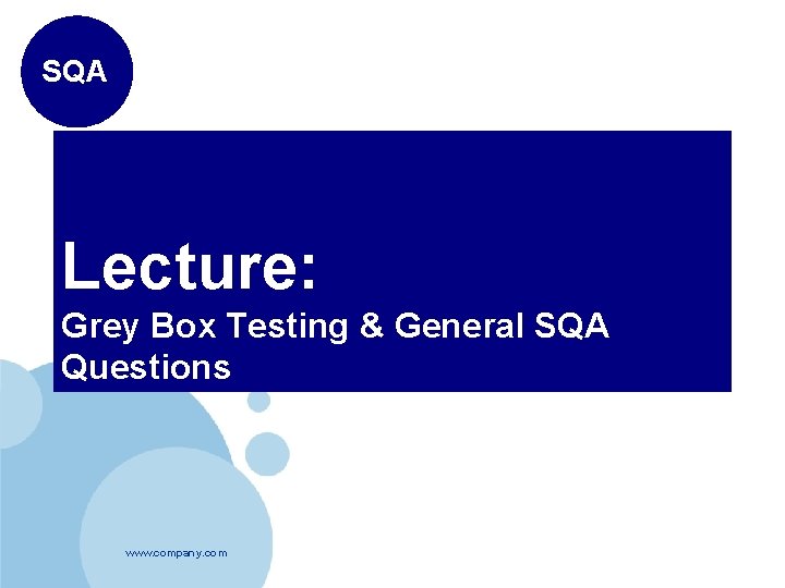 SQA Lecture: Grey Box Testing & General SQA Questions www. company. com 