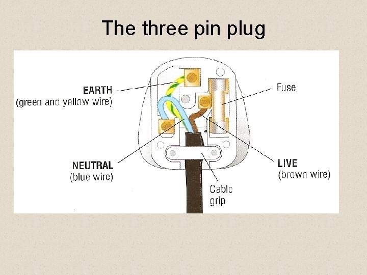 The three pin plug 