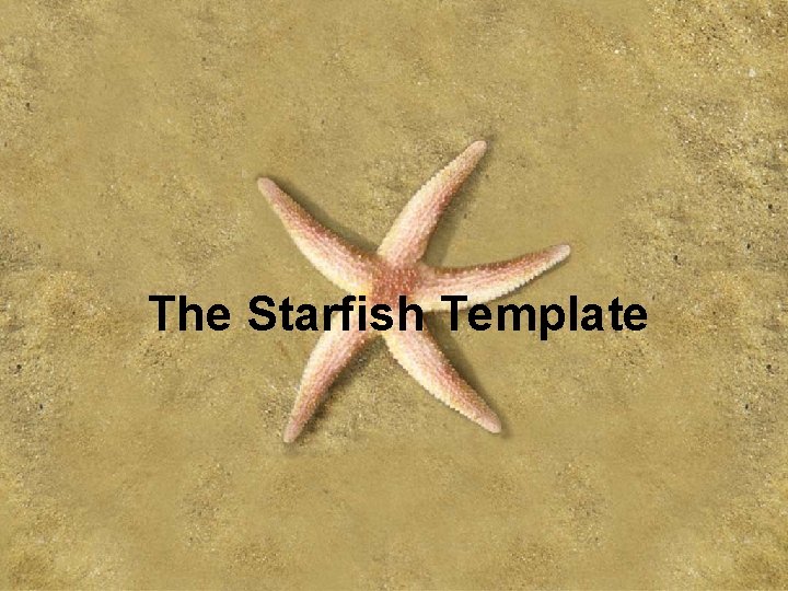 The Starfish Template 