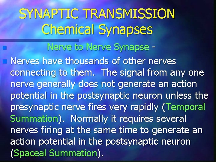 SYNAPTIC TRANSMISSION Chemical Synapses Nerve to Nerve Synapse n Nerves have thousands of other