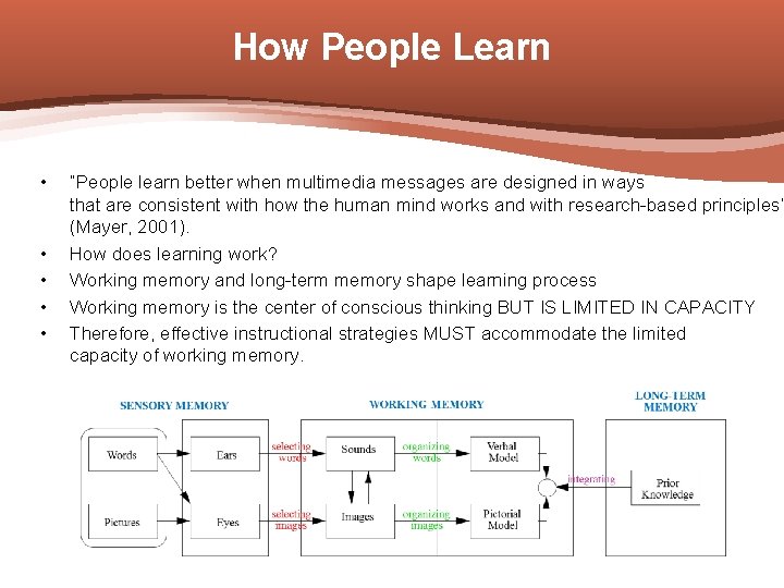 How People Learn • • • “People learn better when multimedia messages are designed