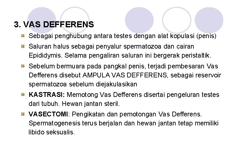 3. VAS DEFFERENS Sebagai penghubung antara testes dengan alat kopulasi (penis) Saluran halus sebagai