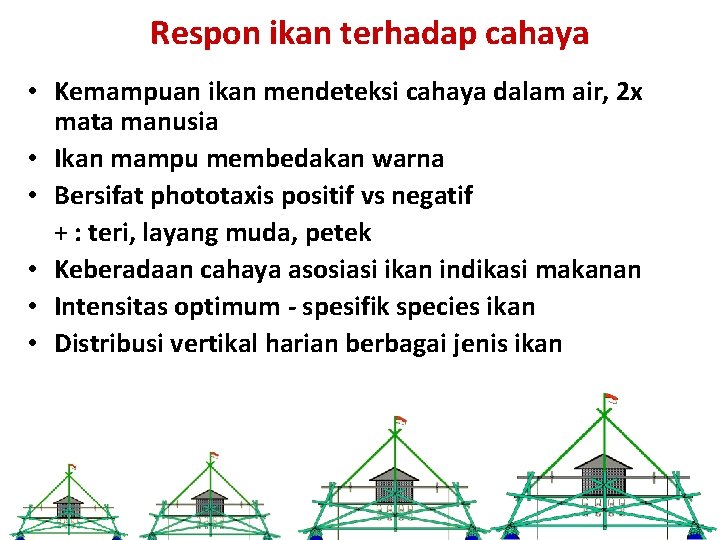 Respon ikan terhadap cahaya • Kemampuan ikan mendeteksi cahaya dalam air, 2 x mata