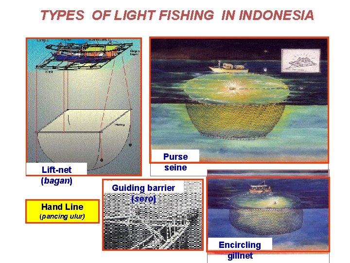 TYPES OF LIGHT FISHING IN INDONESIA Lift-net (bagan) Hand Line Purse seine Guiding barrier