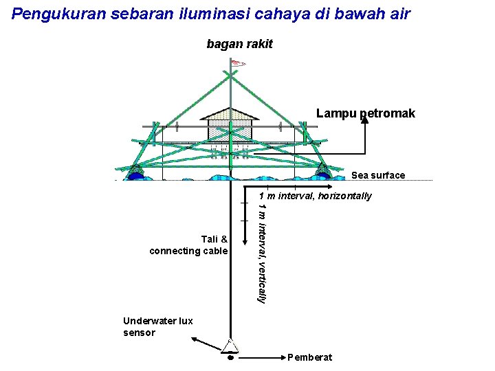 Pengukuran sebaran iluminasi cahaya di bawah air bagan rakit Lampu petromak Sea surface 1