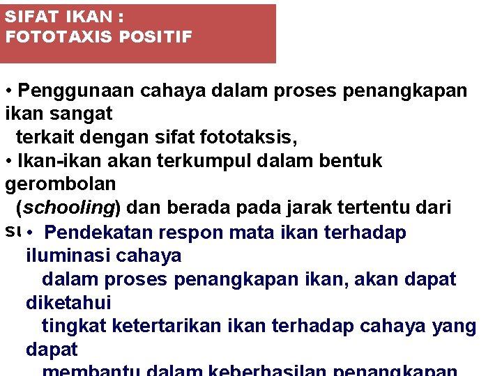 SIFAT IKAN : FOTOTAXIS POSITIF • Penggunaan cahaya dalam proses penangkapan ikan sangat terkait