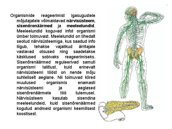 Organismide reageerimist igasugustele mõjutajatele võimaldavad närvisüsteem, sisenõrenäärmed ja meeleelundid. Meeleelundid koguvad infot organismi ümber