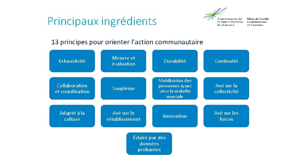 Principaux ingrédients 13 principes pour orienter l’action communautaire Mesure et évaluation Durabilité Continuité Collaboration