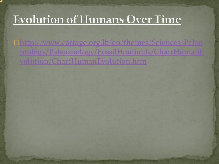 Evolution of Humans Over Time �http: //www. cartage. org. lb/en/themes/Sciences/Paleo ntology/Paleozoology/Fossil. Hominids/Chart. Human. E