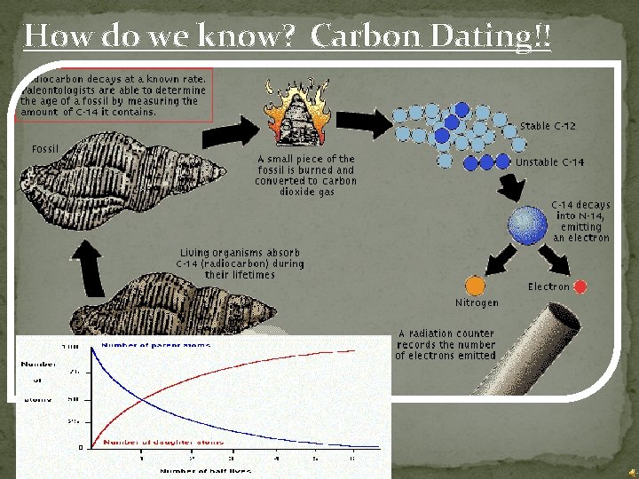 How do we know? Carbon Dating!! 