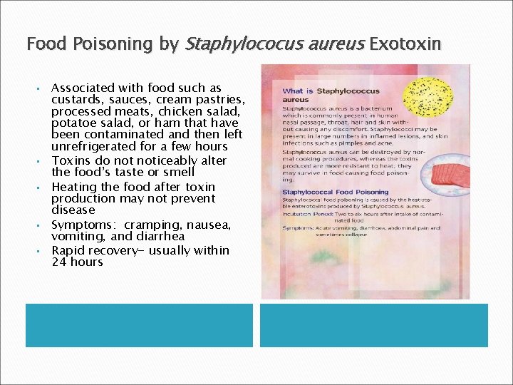 Food Poisoning by Staphylococus aureus Exotoxin • • • Associated with food such as