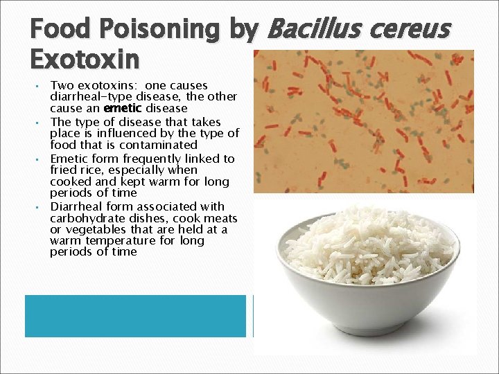Food Poisoning by Bacillus cereus Exotoxin • • Two exotoxins: one causes diarrheal-type disease,