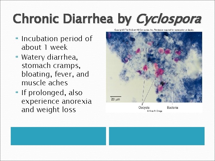 Chronic Diarrhea by Cyclospora Incubation period of about 1 week Watery diarrhea, stomach cramps,