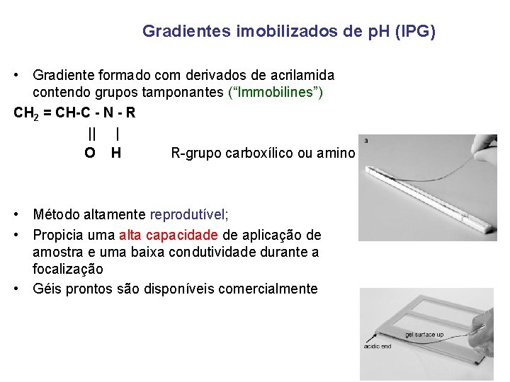 Gradientes imobilizados de p. H (IPG) • Gradiente formado com derivados de acrilamida contendo