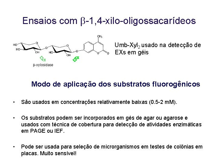 Ensaios com -1, 4 -xilo-oligossacarídeos -xylosidase Umb-Xyl 2 usado na detecção de EXs em