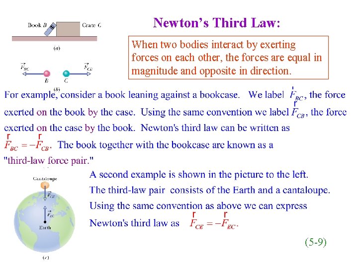 Newton’s Third Law: When two bodies interact by exerting forces on each other, the Newton’s Third Law: When two bodies interact by exerting forces on each other, the