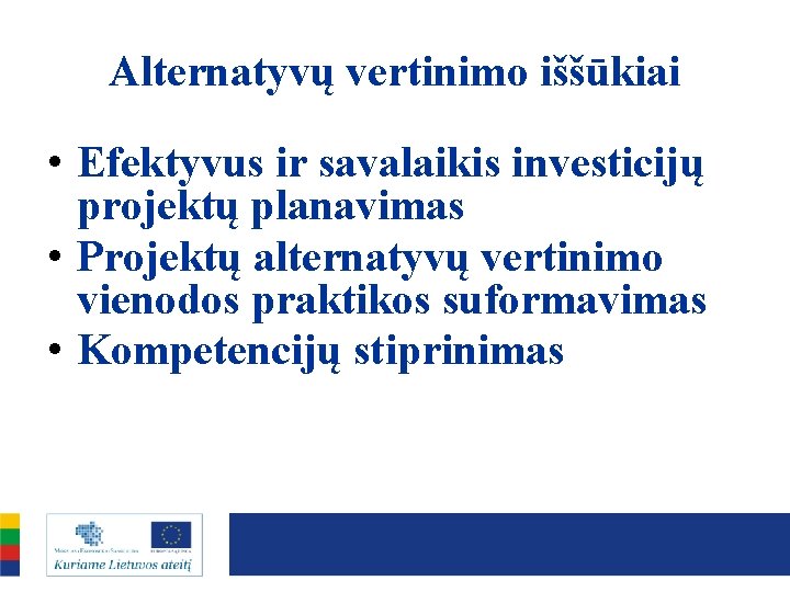 Alternatyvų vertinimo iššūkiai • Efektyvus ir savalaikis investicijų projektų planavimas • Projektų alternatyvų vertinimo