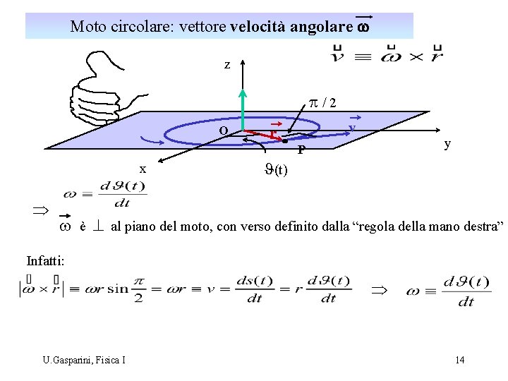 Moto circolare: vettore velocità angolare w z p/2 O x Þ r v y