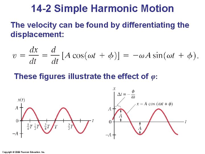 14 -2 Simple Harmonic Motion The velocity can be found by differentiating the displacement: