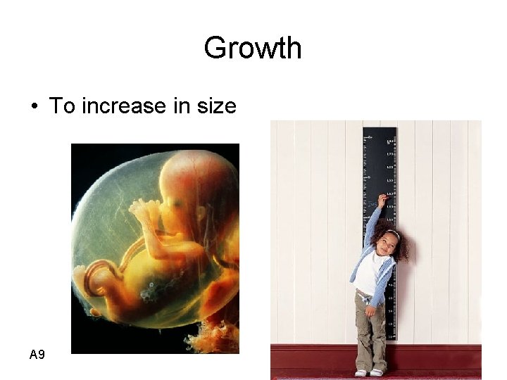Growth • To increase in size A 9 